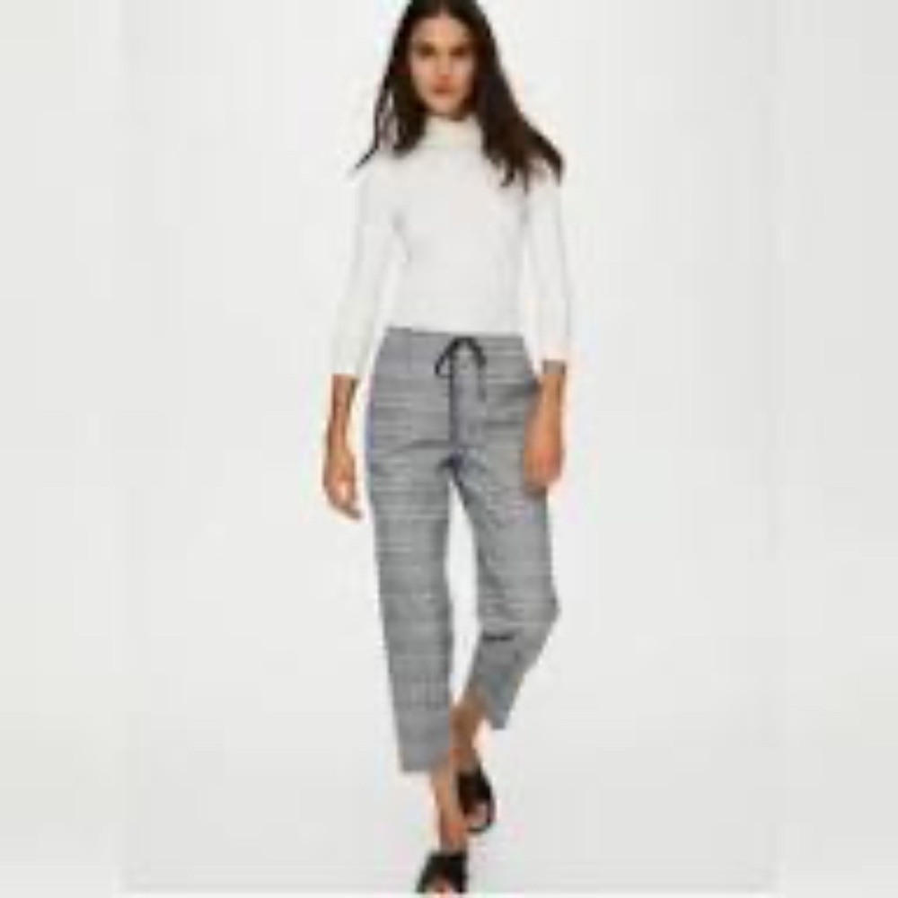 NWOT Aritzia The Group by Babaton Jimmy Pant